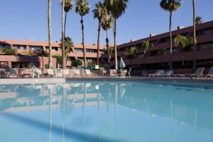 une grande piscine avec chaises et palmiers dans l'établissement Marquis Villas Resort, à Palm Springs
