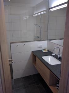 a bathroom with a sink and a mirror at Hotel Zur-Borke in Neuenrade