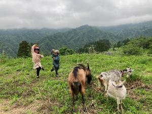 two children are playing in a field with goats at わくわく自然体験の宿ゲストハウス山楽 in Itoigawa