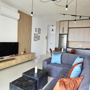 Μια τηλεόραση ή/και κέντρο ψυχαγωγίας στο Cosy Sea View Apartment