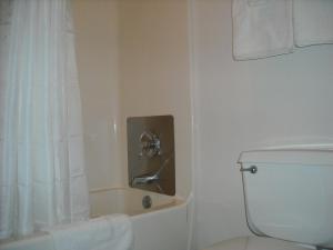 a bathroom with a toilet and a sink and a shower at Red Carpet Inn Greensboro in Greensboro
