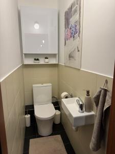a bathroom with a toilet and a sink at A&M Apartments - apartment Prostejovska in Prešov +15 photos