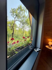 Zahrada ubytování AHA Cabin