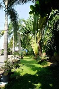 En have udenfor Hotel Kings Kudus