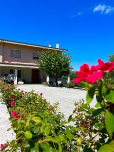 Φωτογραφία από το άλμπουμ του B&B Il Melograno σε Roccacasale