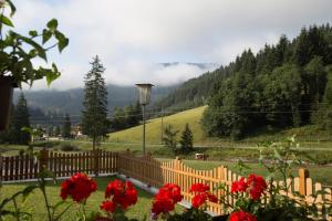 Widok na góry z tego apartamentu