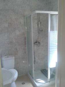 a bathroom with a shower and a toilet at Casa Entre Serras in Donas