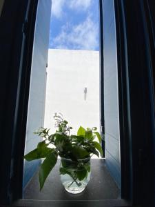 Foto dalla galleria di Hotel Aura a Vulcano