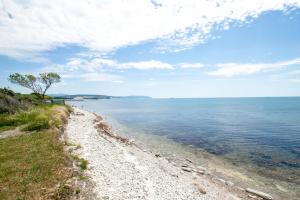 a beach with a tree and the water at Взлет in Gelendzhik
