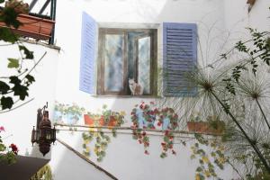 un gato sentado en una ventana al lado de un edificio en El Cobijo de Vejer en Vejer de la Frontera