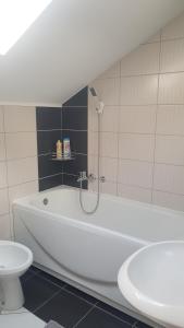Koupelna v ubytování Apartman Sofi + 7 fotografií