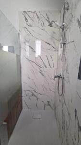La salle de bains est pourvue d'une douche et d'un mur en marbre. dans l'établissement Appartement 4 pers Vichy, à Vichy