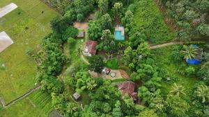 una vista sul tetto di una casa in una foresta di Ayurnest Pool Resort Wayanad a Batheri