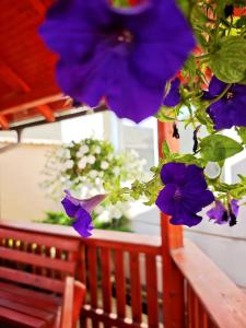 a bunch of purple flowers on a balcony at Hotel Christine in Târgu Secuiesc