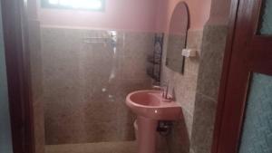 ManakambahinyにあるAppartement Fitahiana coupleのバスルーム(ピンクのシンク、シャワー付) +10枚の写真
