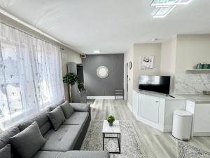 ブリストルにある1 Bedroom luxury apartmentのソファとテレビのあるリビングルーム