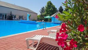 Bazén v ubytování Oázis Wellness Panzio nebo v jeho okolí + 52 fotografií