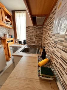 a kitchen with a sink and a counter top at Una Finestra sul Cervino in Breuil-Cervinia