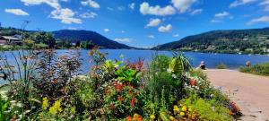 a view of a lake with mountains in the background at La Monarde in Gérardmer