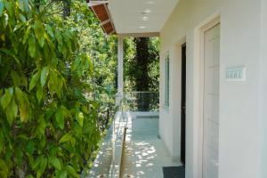 Aed väljaspool majutusasutust Hotel AlpineglO Yercaud