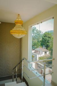 Rõdu või terrass majutusasutuses Hotel AlpineglO Yercaud
