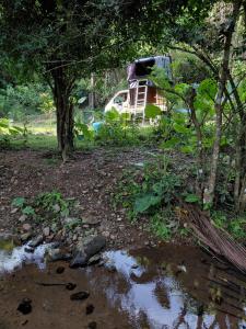 A garden outside Off Grid Explorers - 4x4 Campers!