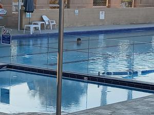 מלון אוקיינוס במרינה שני חדרי שינה内部或周边的泳池