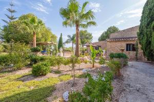 a garden with palm trees and a house at Banc Doli in Manacor