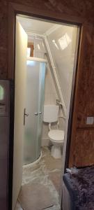 a bathroom with a toilet and a glass door at Vila Luka Puljci in Nova Varoš