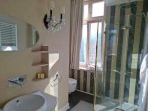 een badkamer met douche, wastafel en toilet bij Vilele Lucia in Sinaia +49 foto's