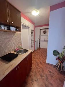 een keuken met een spoelbak en een aanrechtblad bij Vila Verica M in Kravlja