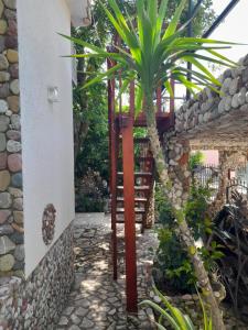 een palmboom in een tuin naast een gebouw bij Vila Verica M in Kravlja +2 foto's