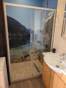 a bathroom with a shower and a sink at Campingplatz und Quartier am Treidlerweg in Königstein an der Elbe +48 photos