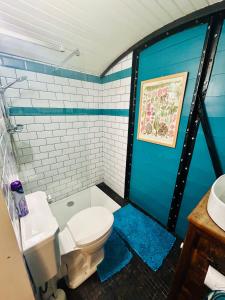een badkamer met toilet en wastafel bij The Railway Carriage - Blue in Glasbury