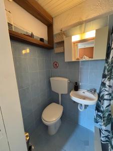 プロマリオンにあるOlive Stonehouseのトイレと洗面台のある小さなバスルーム