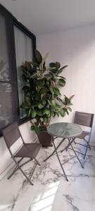 a table and two chairs and a potted plant at Victory in Alicante