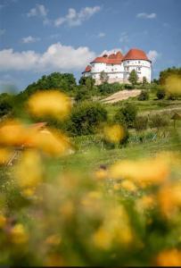 een gebouw op een heuvel met een bloemenveld bij Apartman PETRA ZABOK in Zabok
