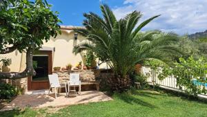 a house with two chairs and a palm tree at Villa Carmen in Bocairent