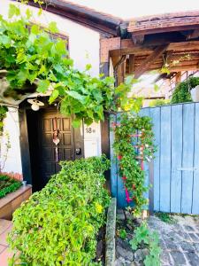 a house with a blue door and some plants at Ferienwohnung der Familie Budzisch in Sinsheim