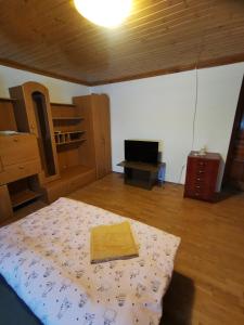 a bedroom with a bed and a desk and a tv at Szabadság vendéghaz in Tiszaújváros