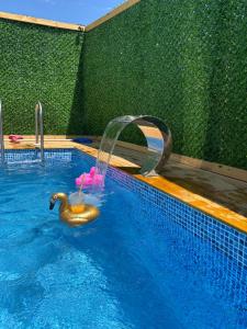 a swimming pool with a rubber duck in the water at Karahan bungalov in Tayakadın +8 photos