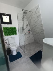 Koupelna v ubytování Carpatina Rustic House -Chaleturi A-frame Runcu