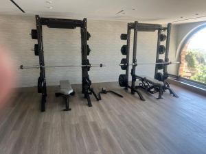 Fitness centrum a/nebo fitness zařízení v ubytování Pendeli Resort