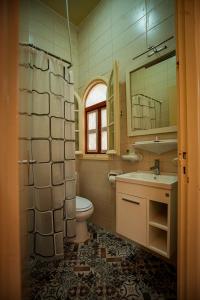 Koupelna v ubytování Gîte Feki + 106 fotografií