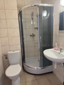 a bathroom with a shower and a toilet and a sink at Willa Aleksander in Rowy +19 photos