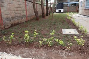 Gallery image of Axis Guest House in Syokimau