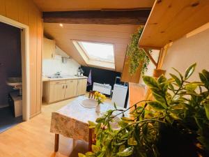 a kitchen with a table and some plants in a room at Appartement rustique à Liège in Liège +10 photos