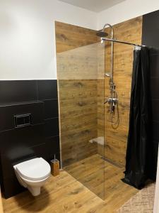 Ένα μπάνιο στο Apartament Sasankowa