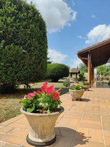 a row of vases filled with flowers on a patio at Chambre d'Hôte minutes away from Bordeaux Centre in Blanquefort