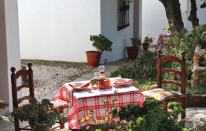 Zahrada ubytování Conjunto El Carramolo